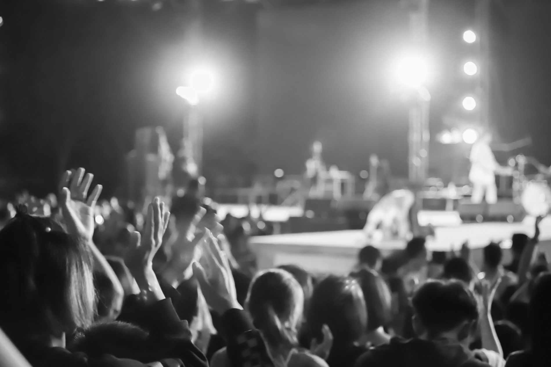 Crowd of people at a concert